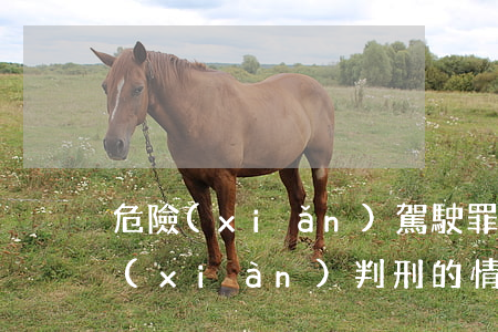 危險(xiǎn)駕駛罪會(huì)出現(xiàn)判刑的情況嗎？
